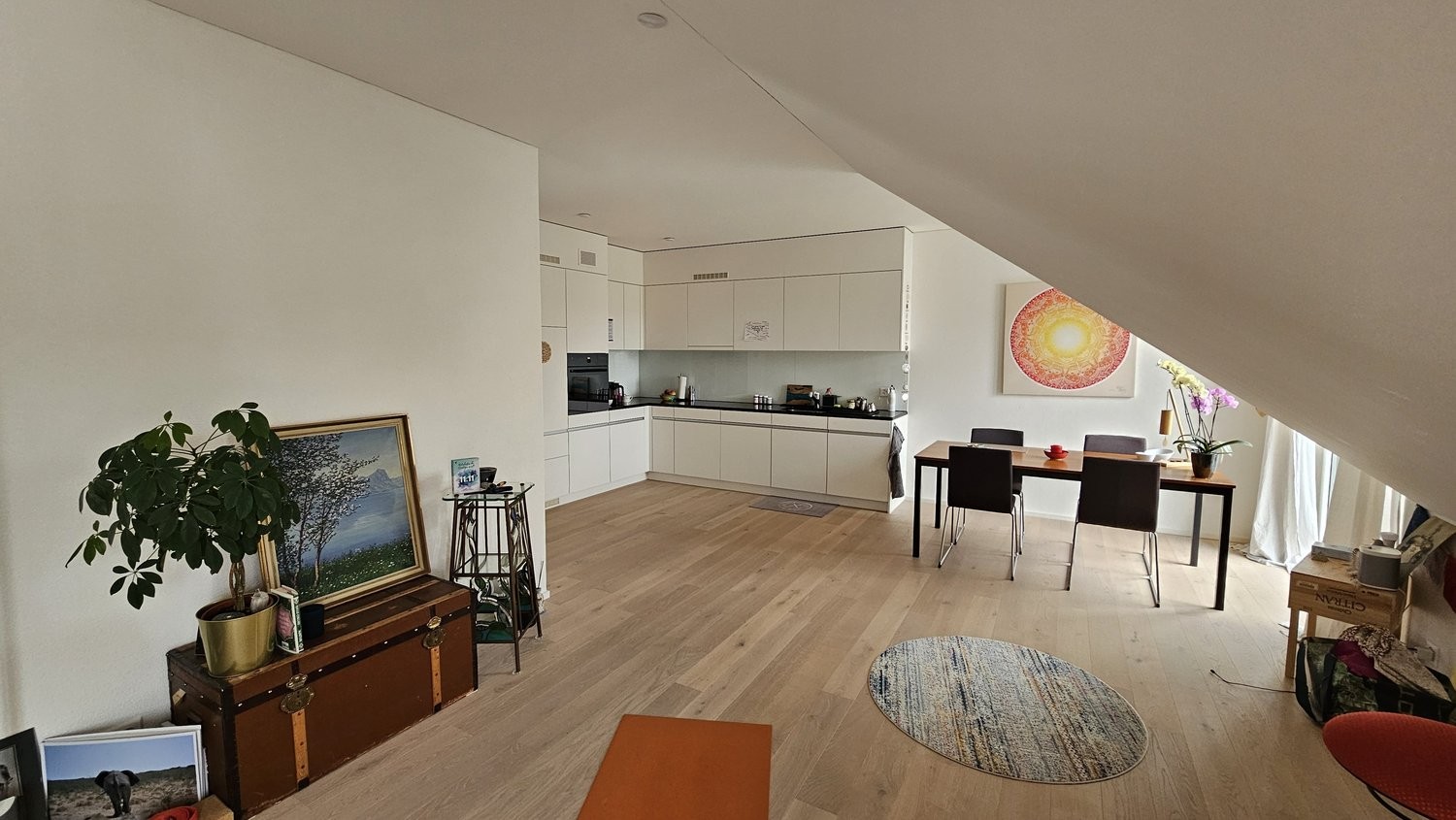 appartamento arredato di 3 ½ locali