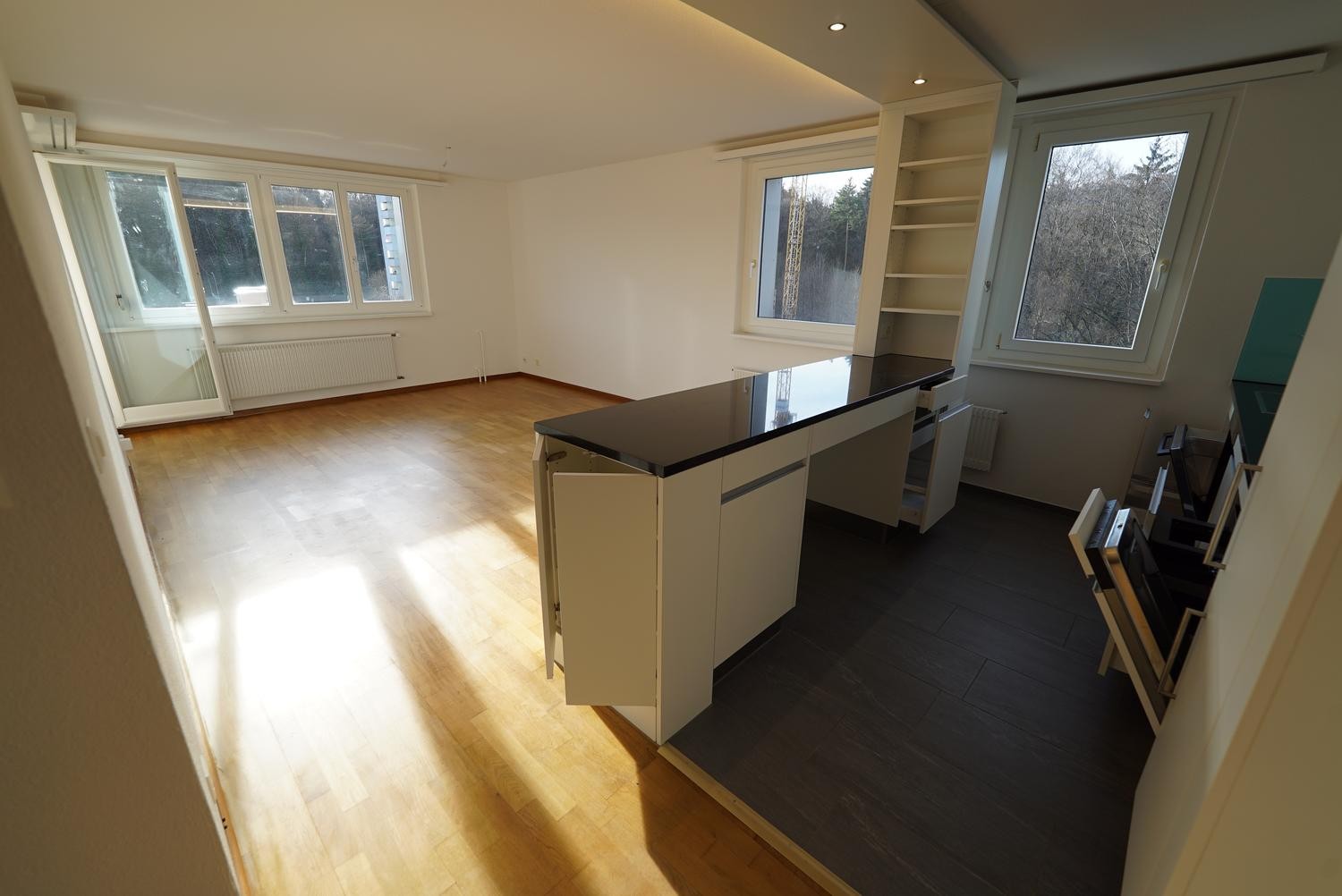 2 ½ rooms apartment
