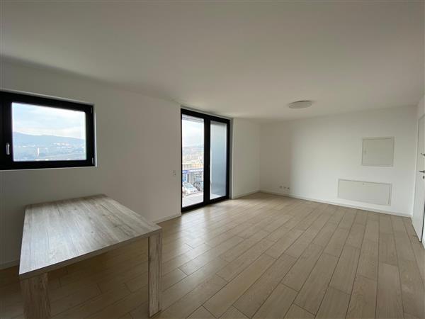 2 ½ Zimmer Wohnung