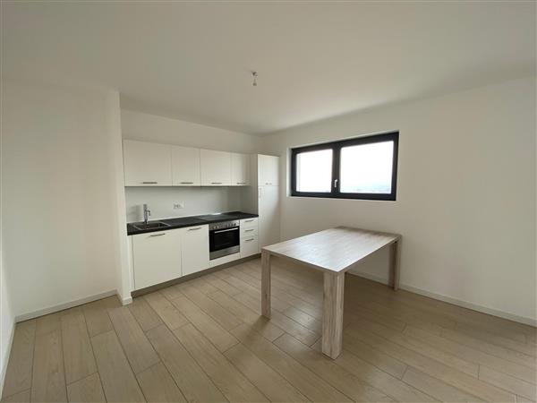 2 ½ Zimmer Wohnung