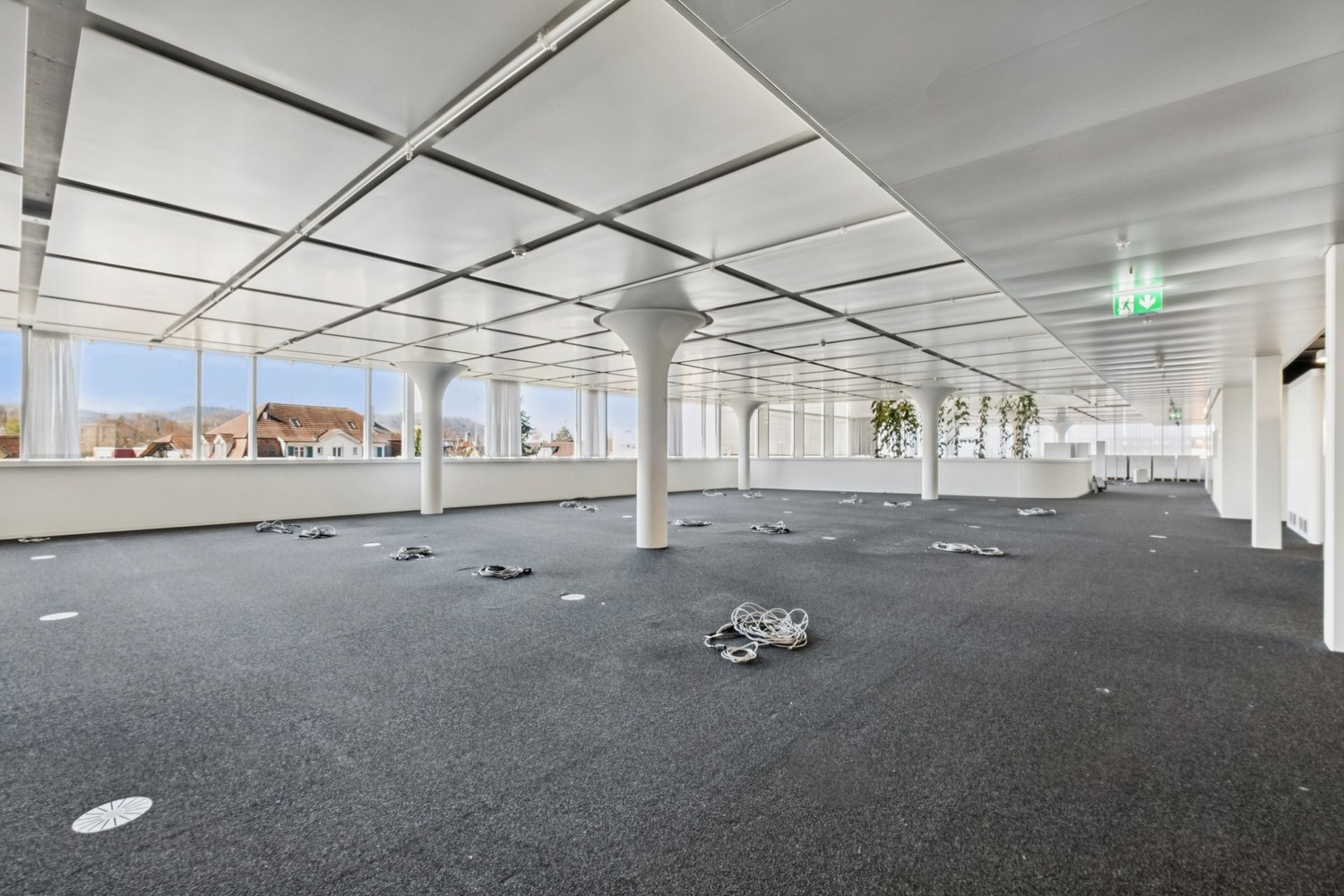 2485m² office, photo 5 of 10