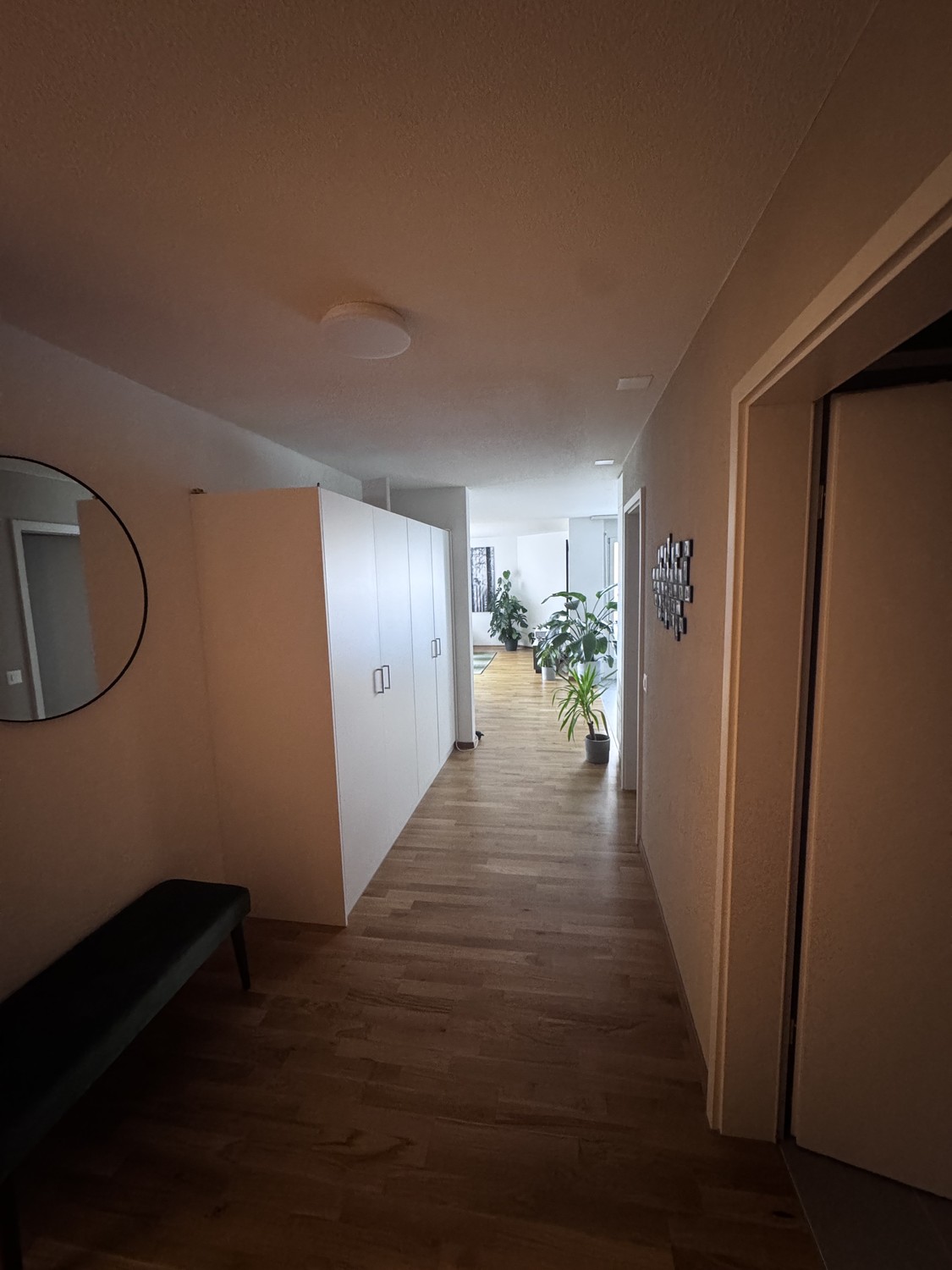 Room in a shared flat