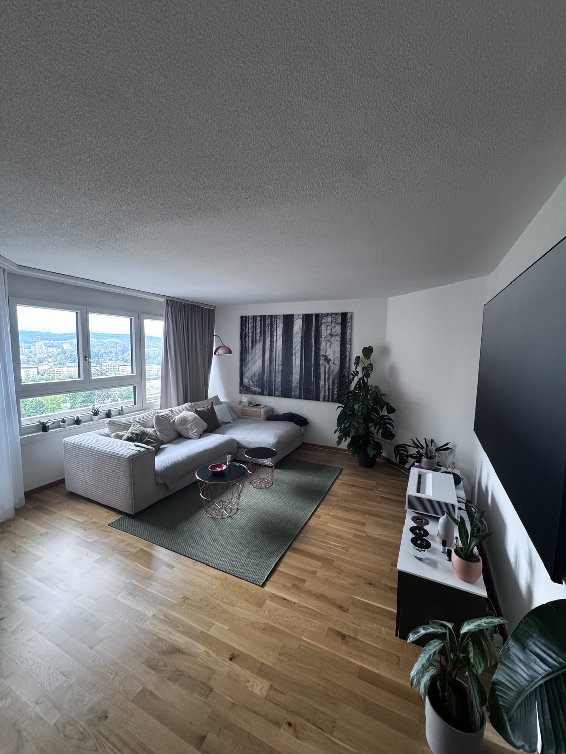 Room in a shared flat