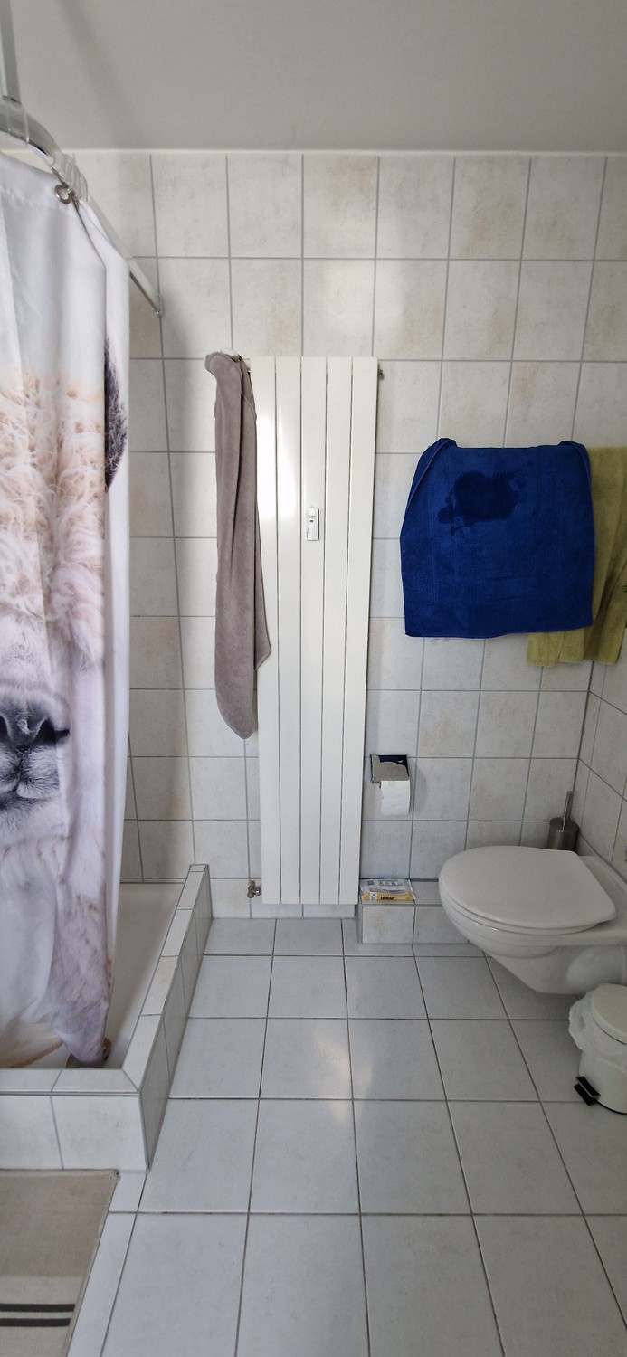 3 ½ rooms apartment, photo 9 of 10