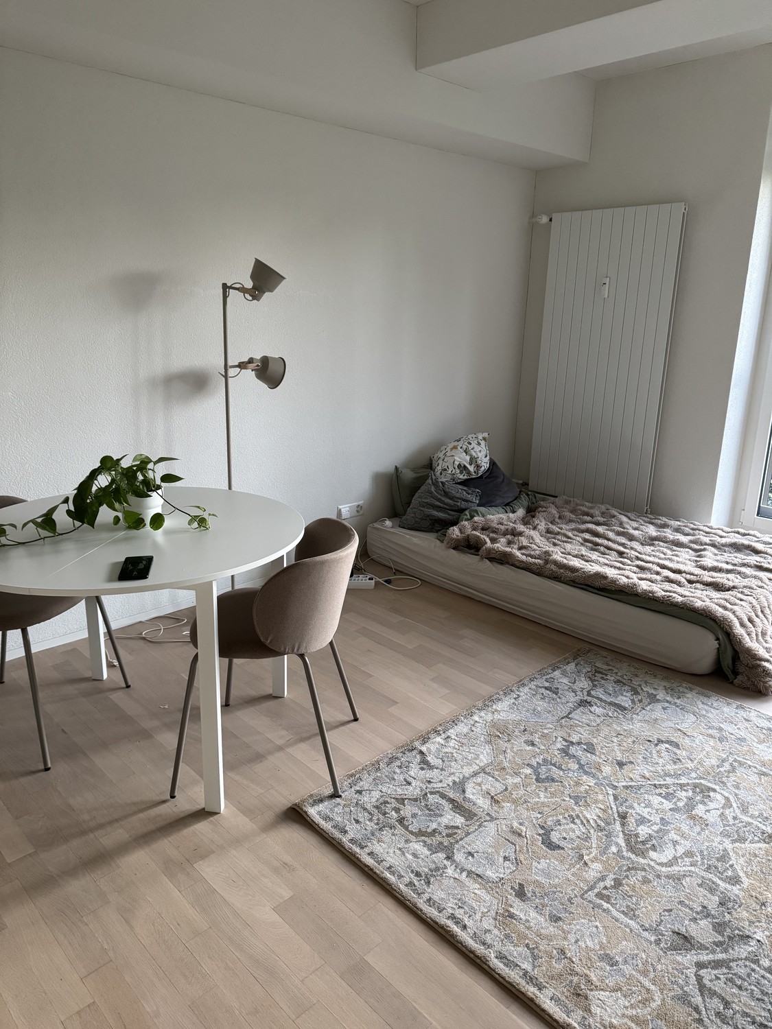 1 room apartment