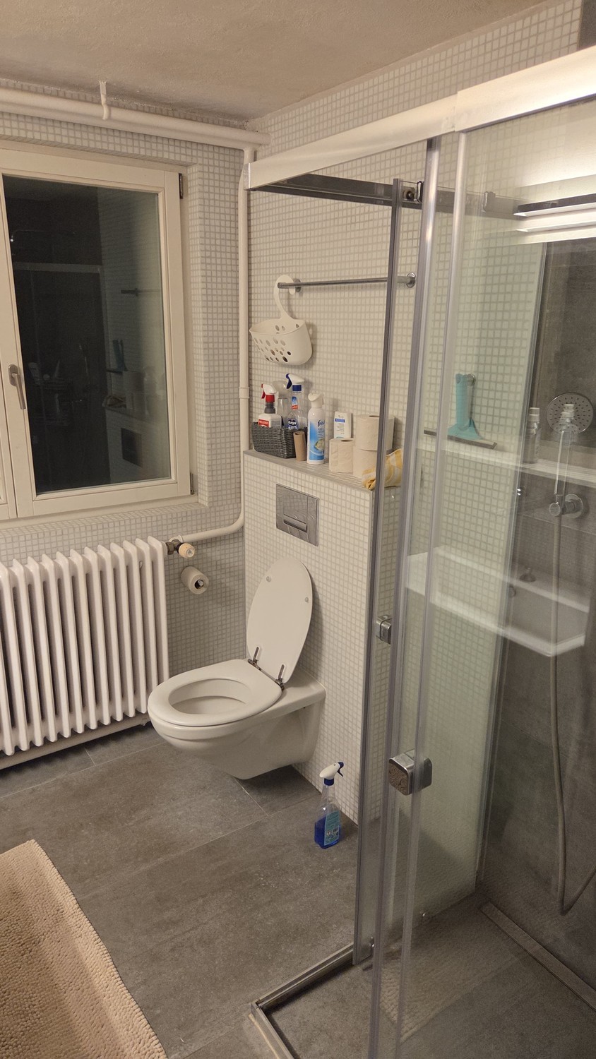 Room in a shared flat