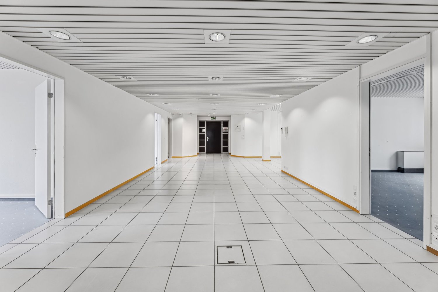 501m² bureau