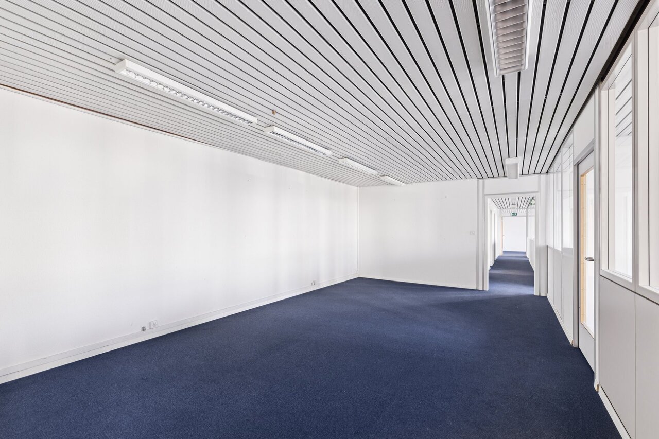 790m² commercial, photo 7 of 10