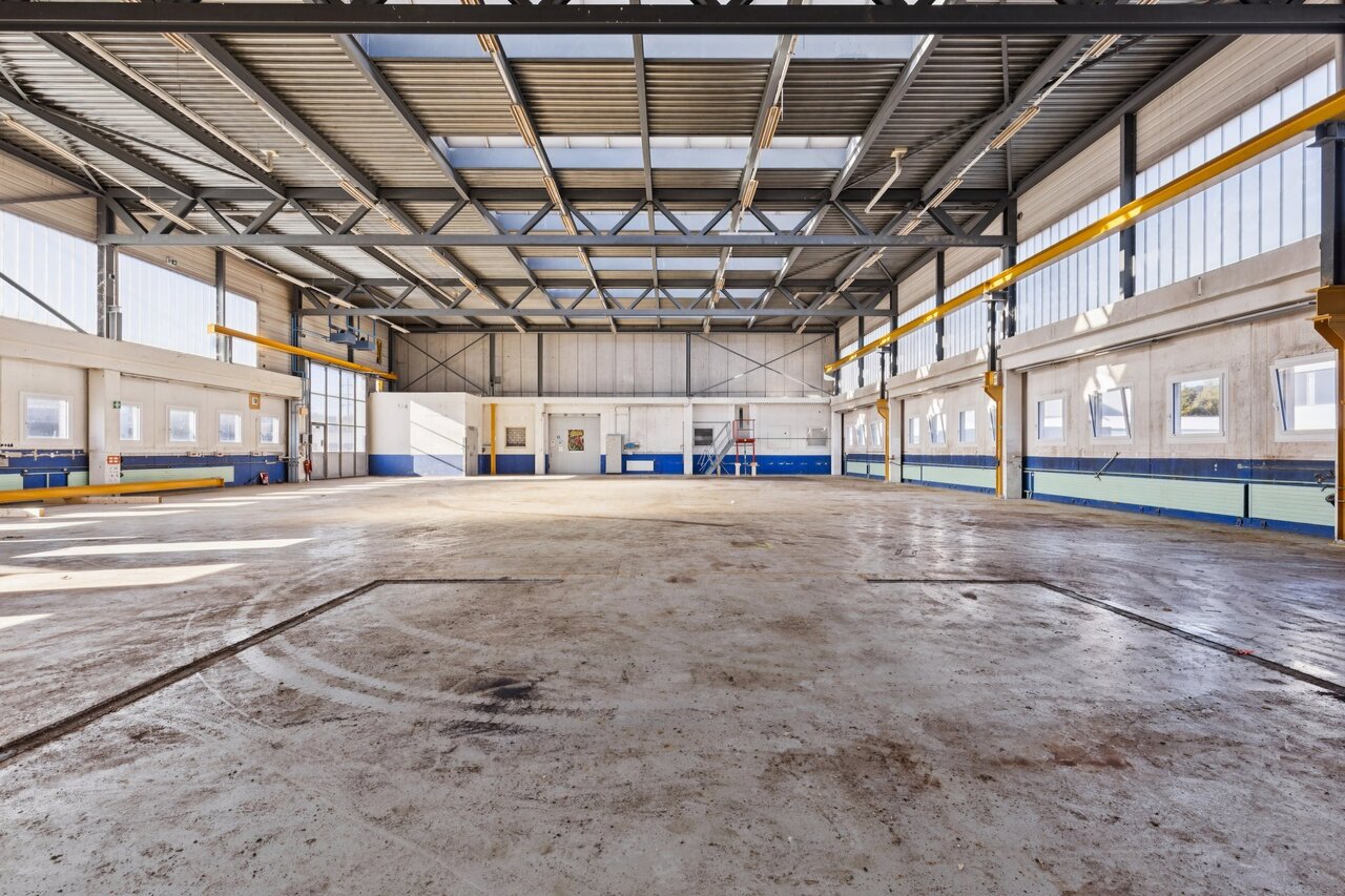 790m² commercial, photo 3 of 10