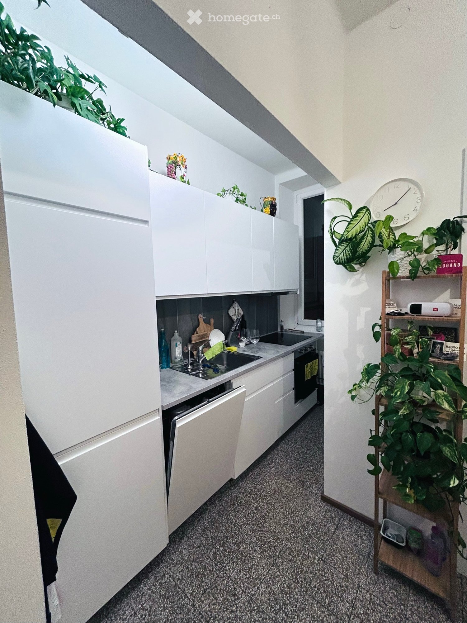 1 rooms apartment