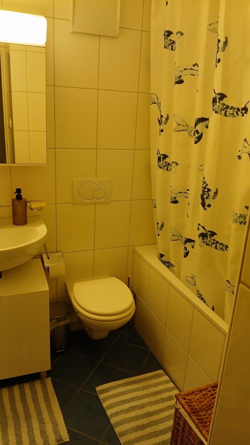 2 ½ rooms apartment, photo 8 of 8