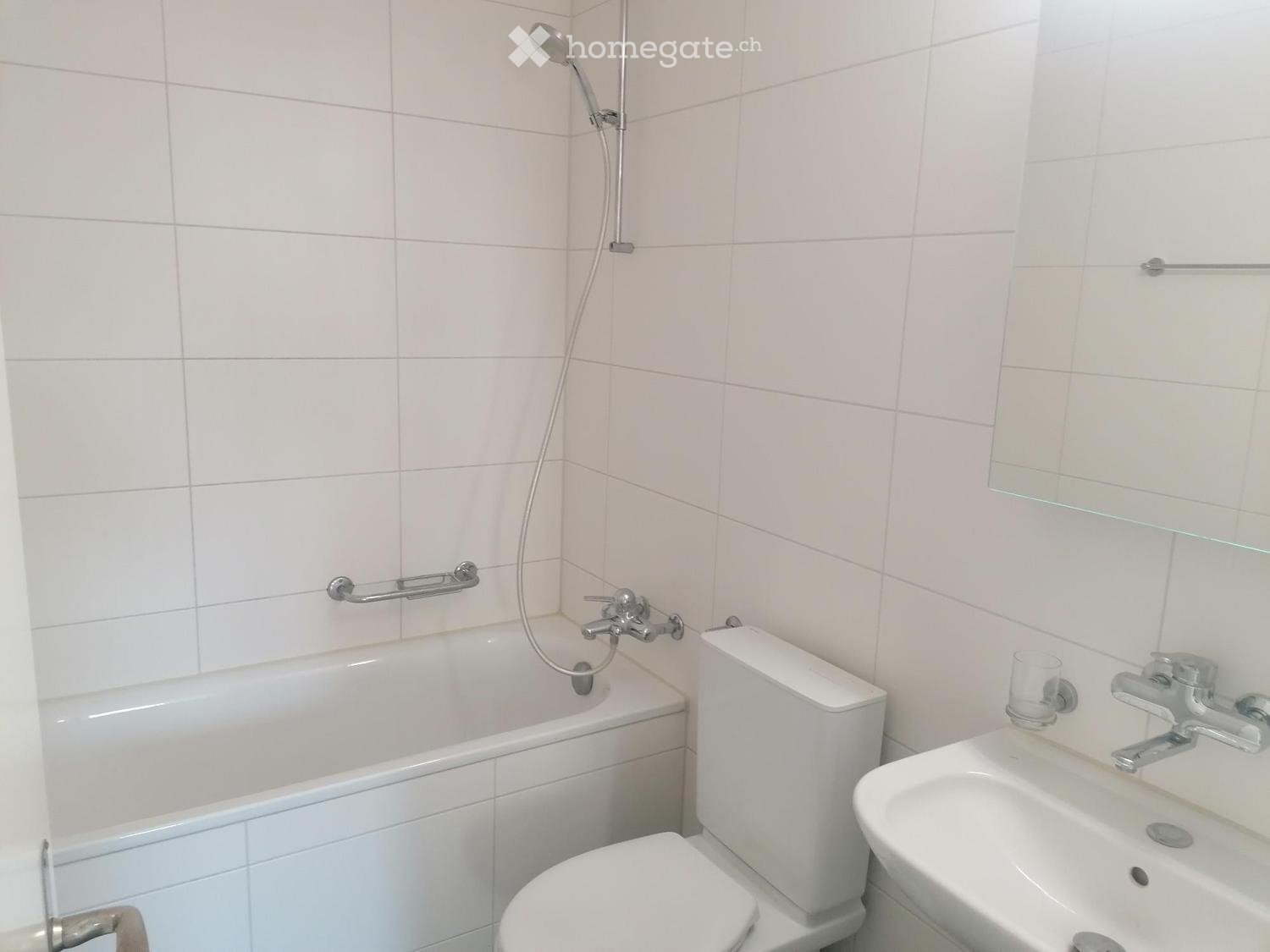 Appartamento di 3 ½ locali (4)
