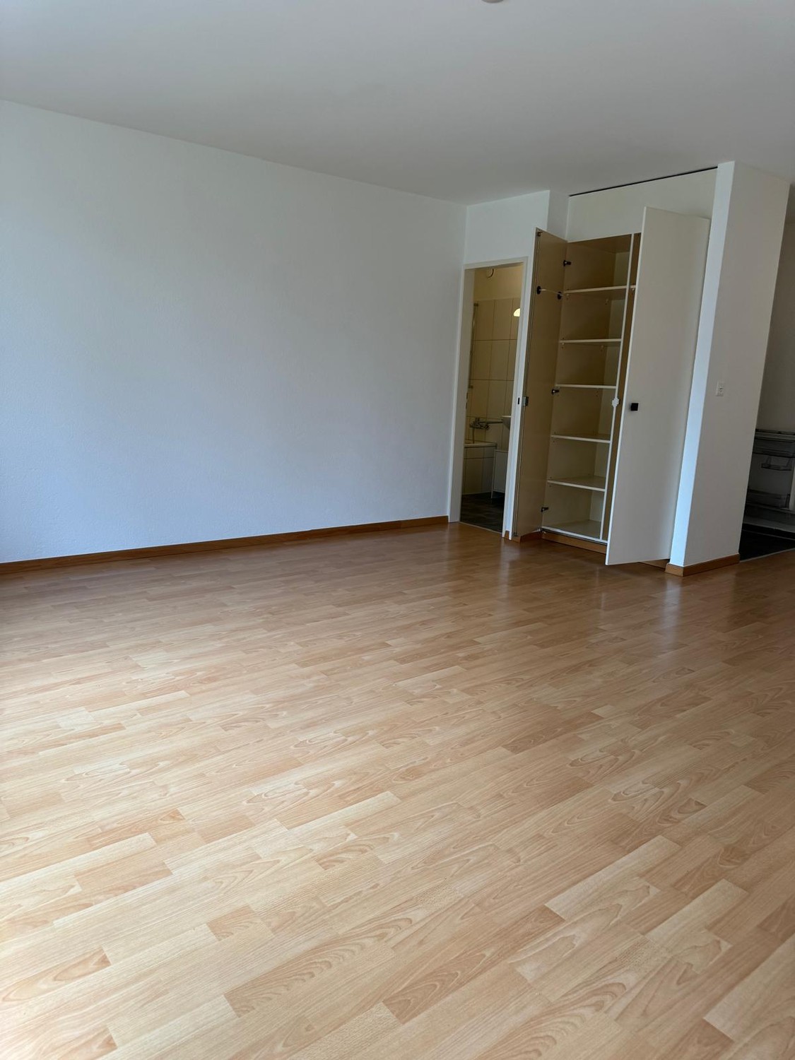 1 room apartment
