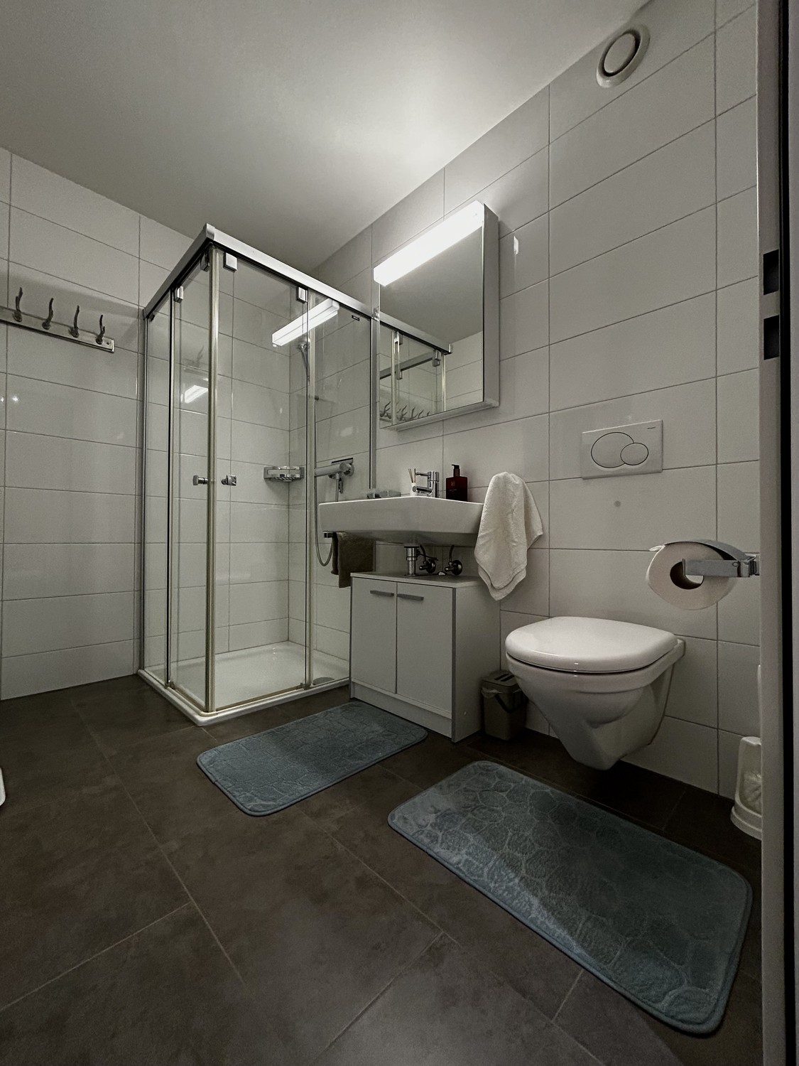 Appartement de 1 ½ pièces
