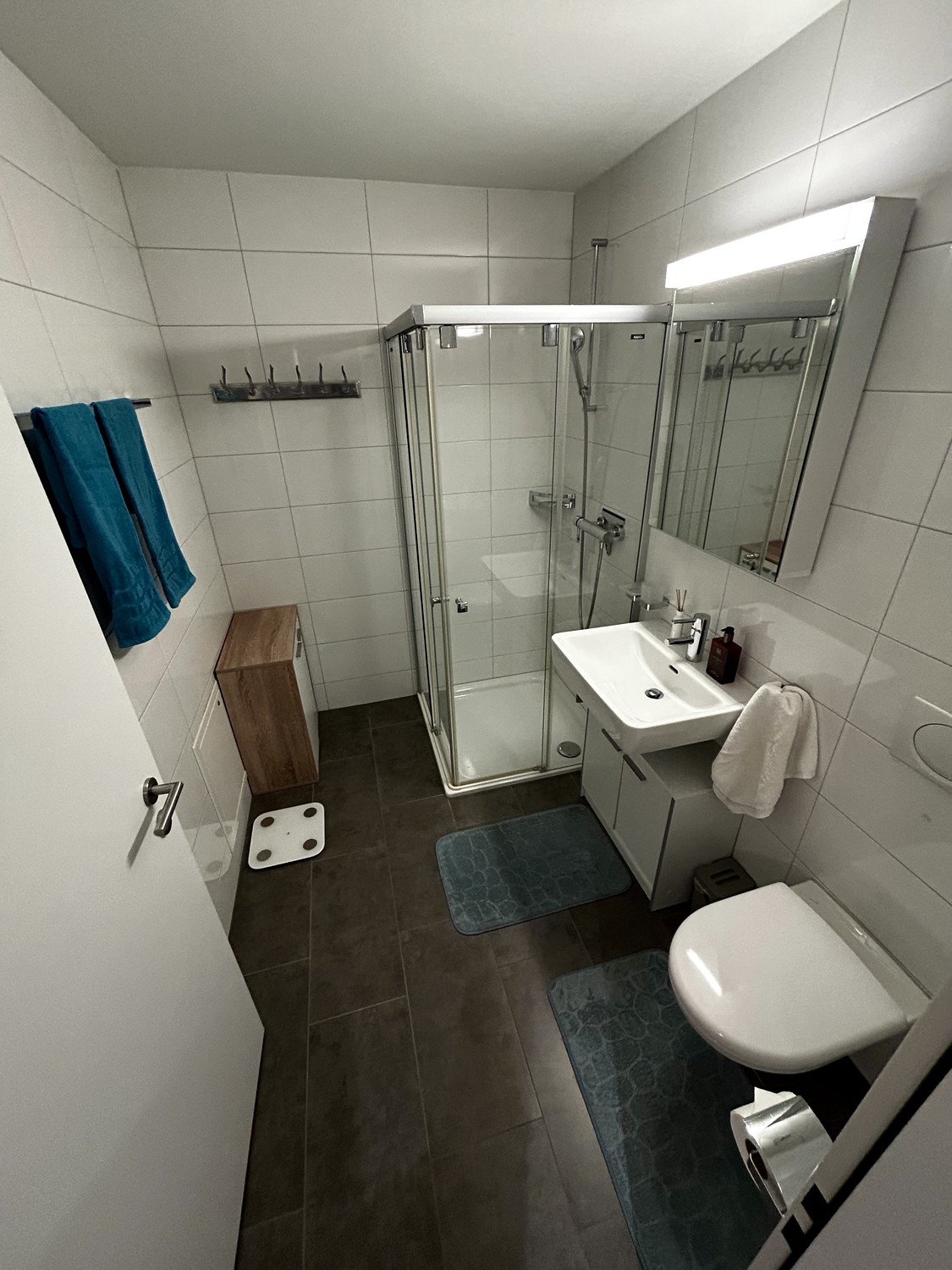 Appartement de 1 ½ pièces