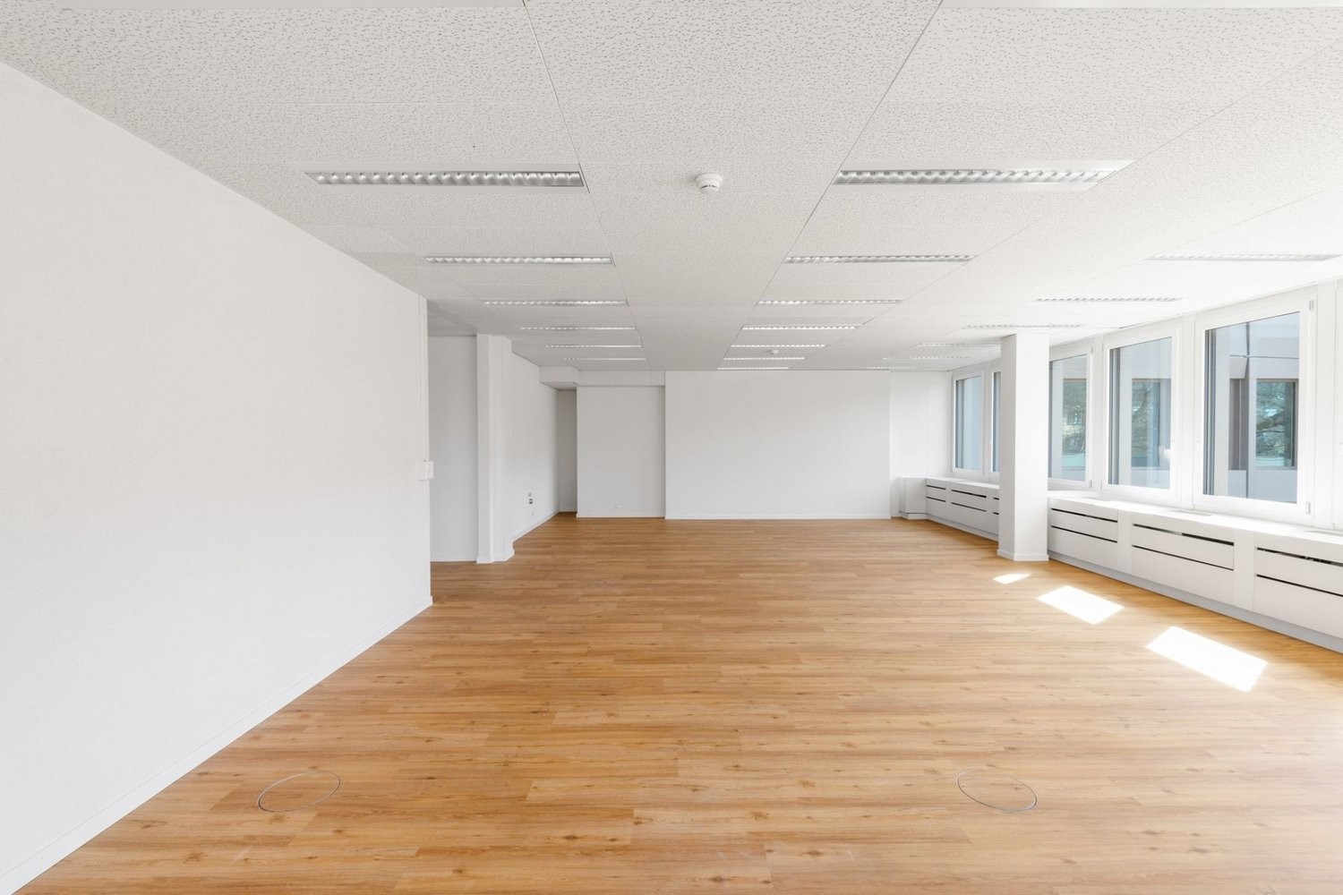 364m² office, photo 3 of 10