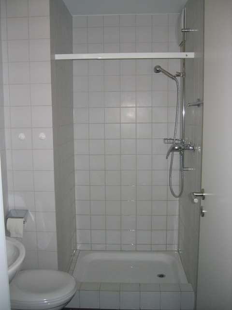 4 ½ rooms apartment (4)