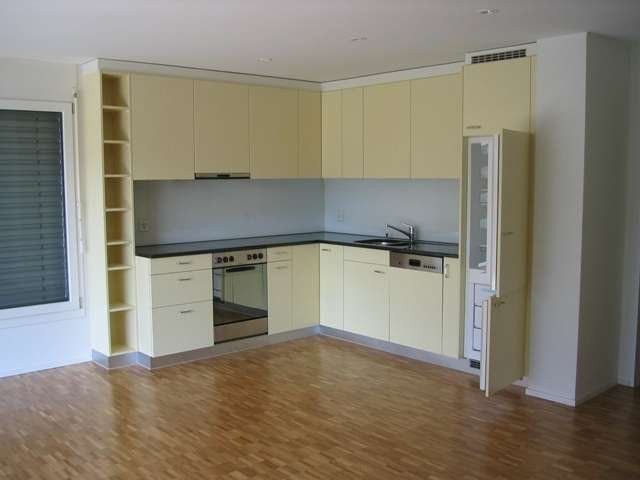 4 ½ rooms apartment (3)