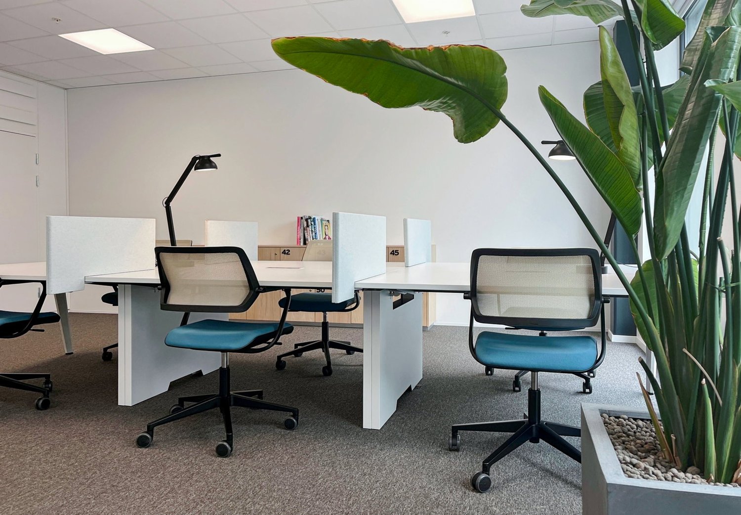 300m² office