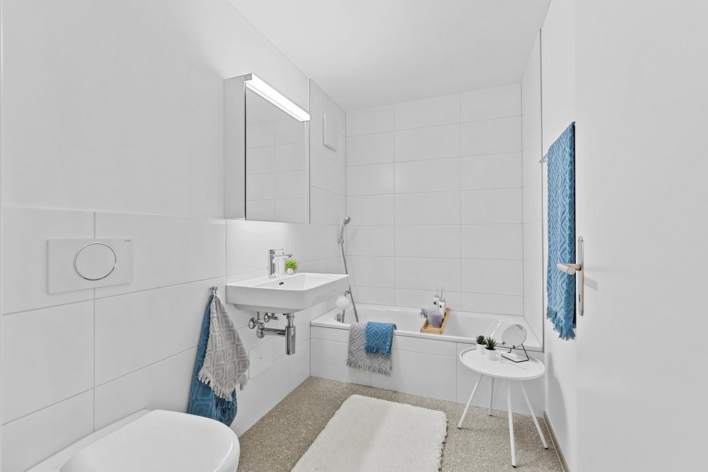 3 ½ rooms apartment (6)