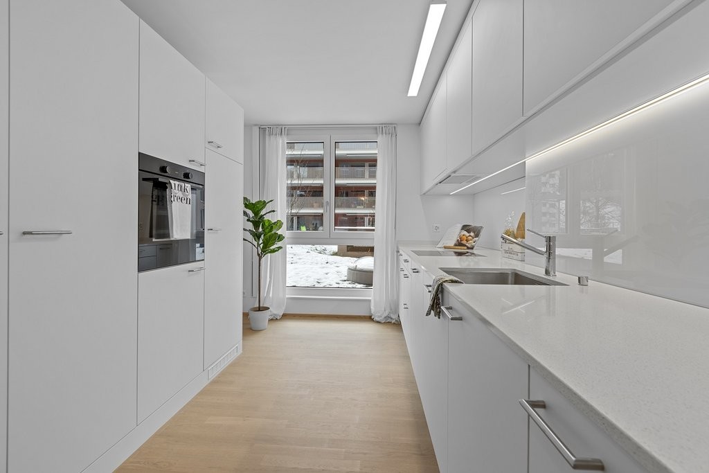 3 ½ rooms apartment (5)
