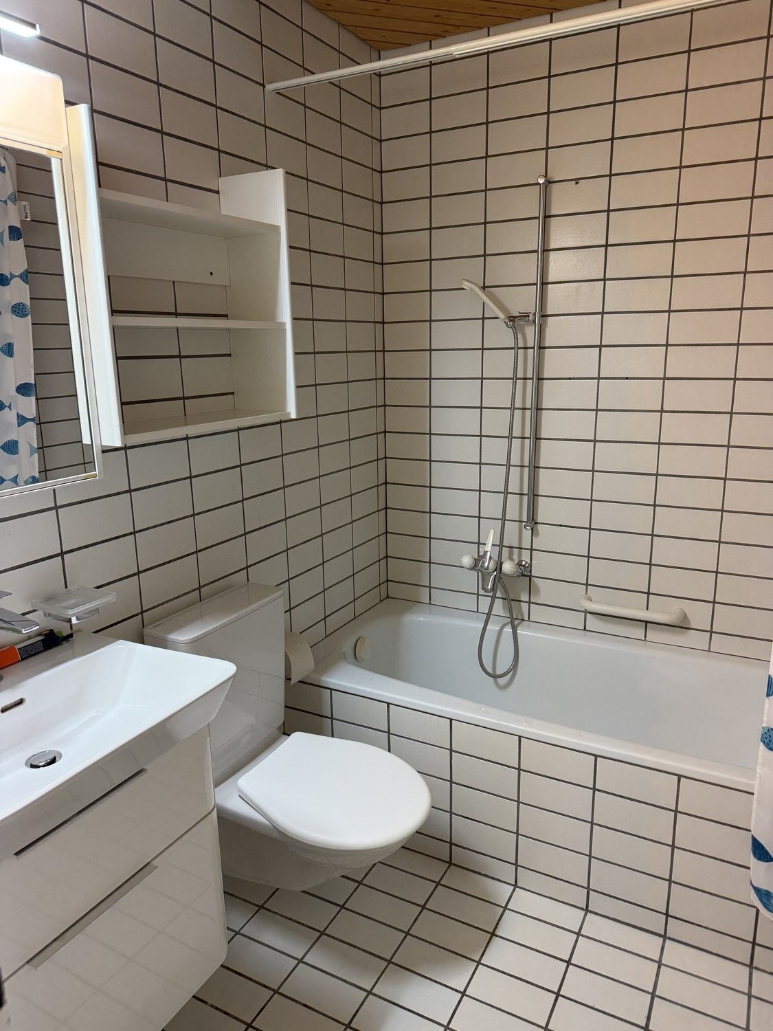 2 ½ rooms apartment