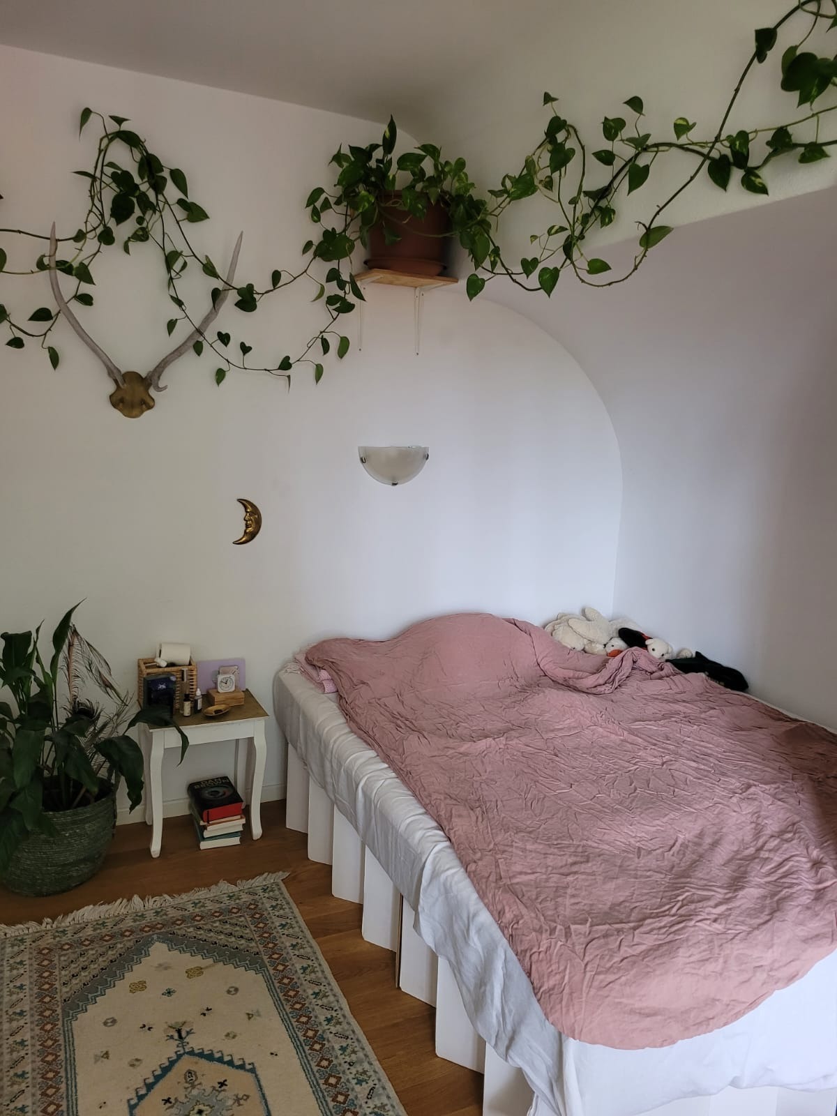 Room in a shared flat