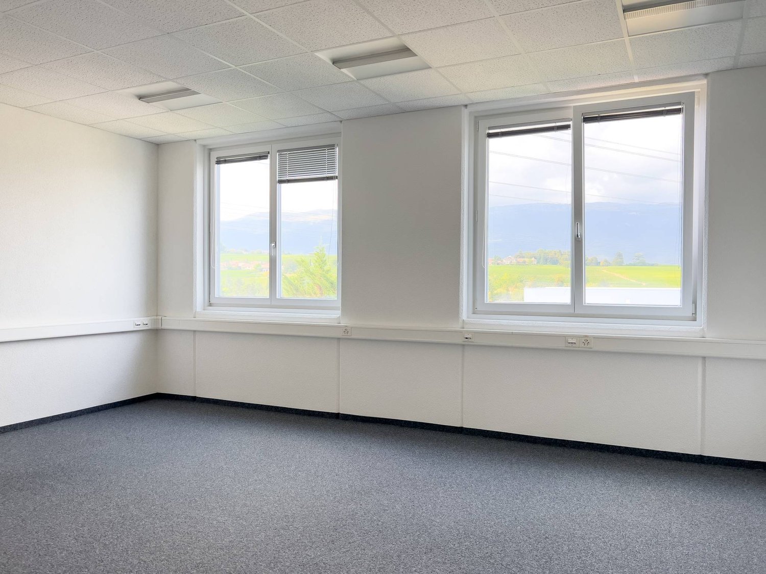 373m² office, photo 2 of 6