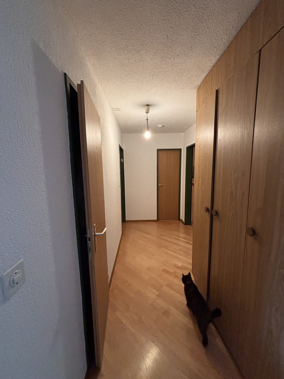 Camera in appartamento condiviso