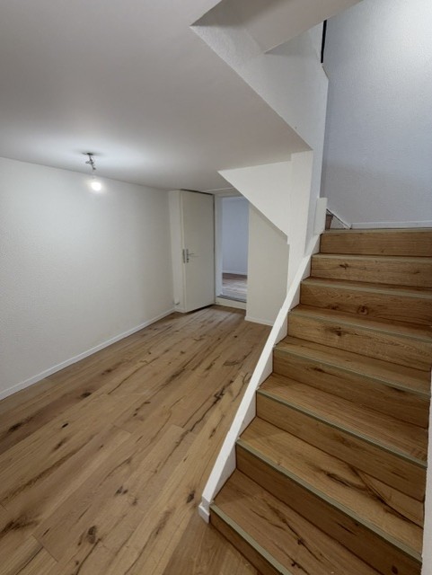 3 ½ rooms duplex