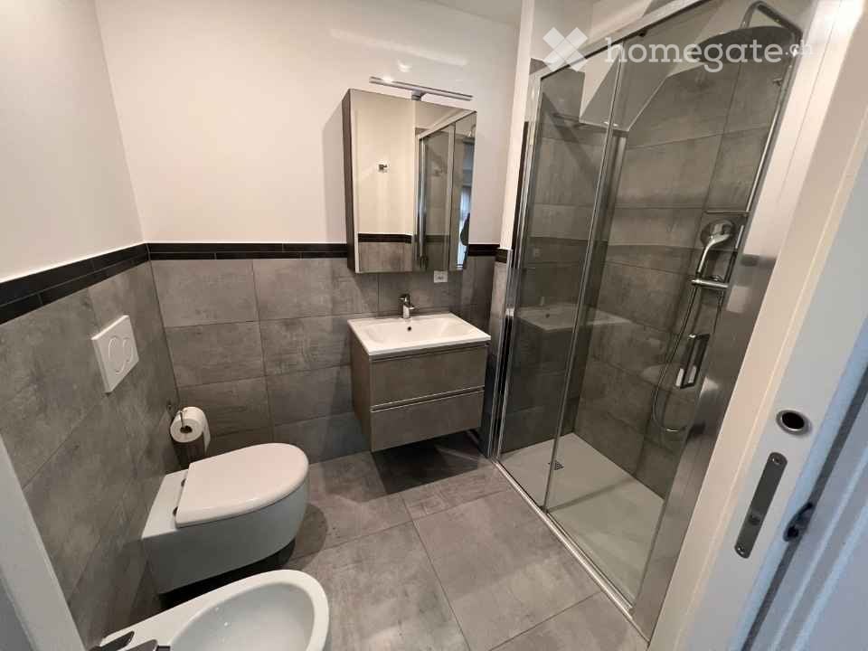 appartement 1 pièce
