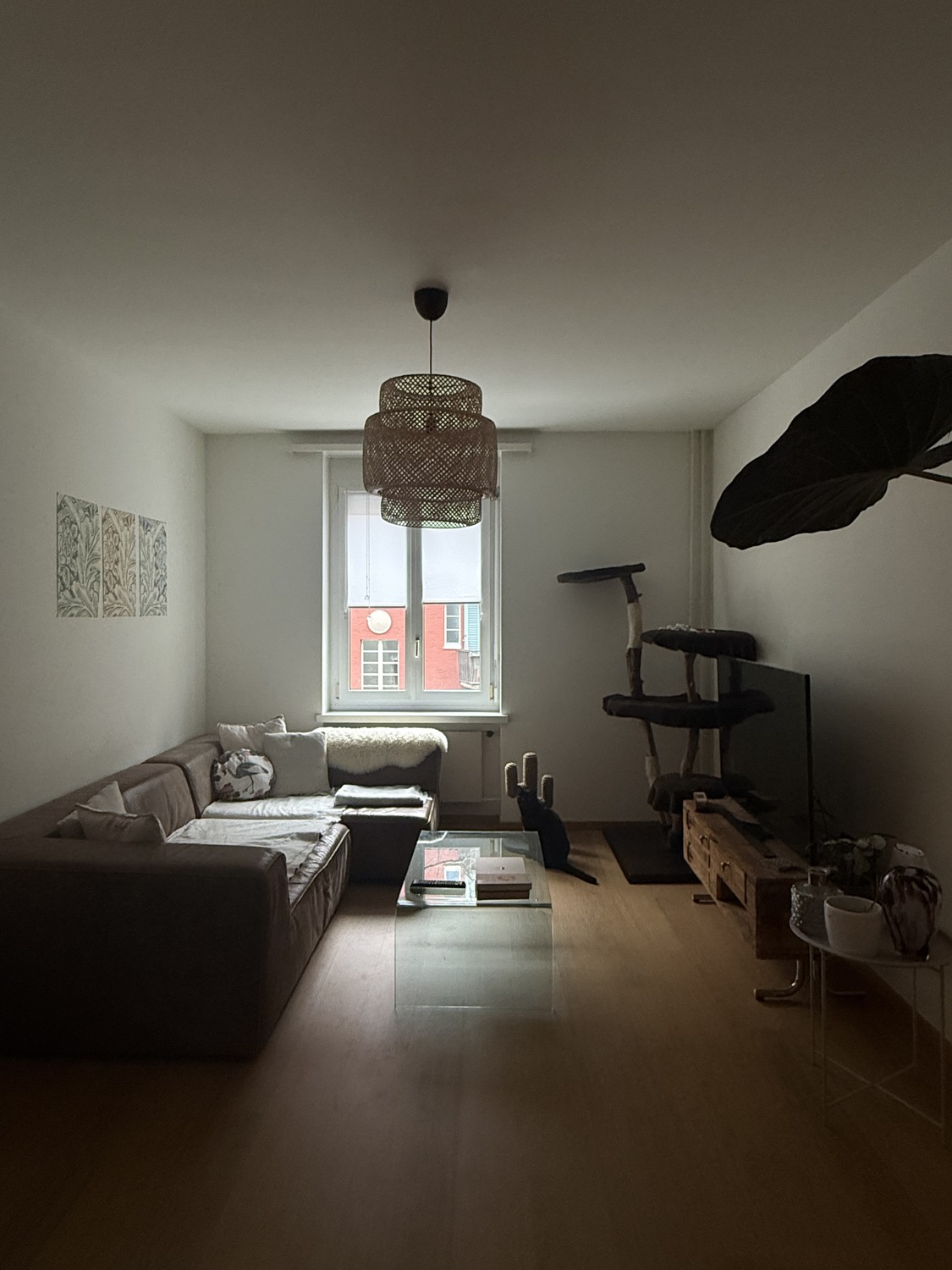 2 ½ pièces appartement