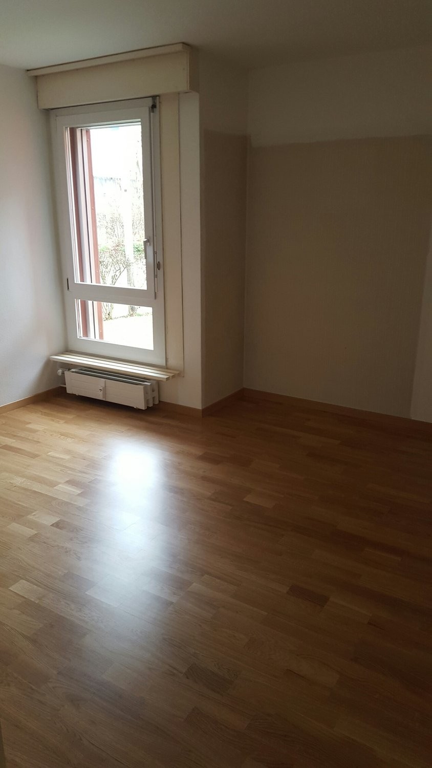 3 ½ rooms apartment (4)
