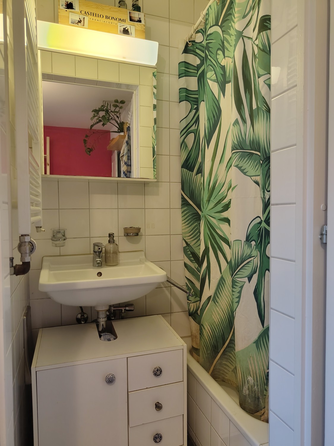 Maison individuelle de 2 ½ pièces