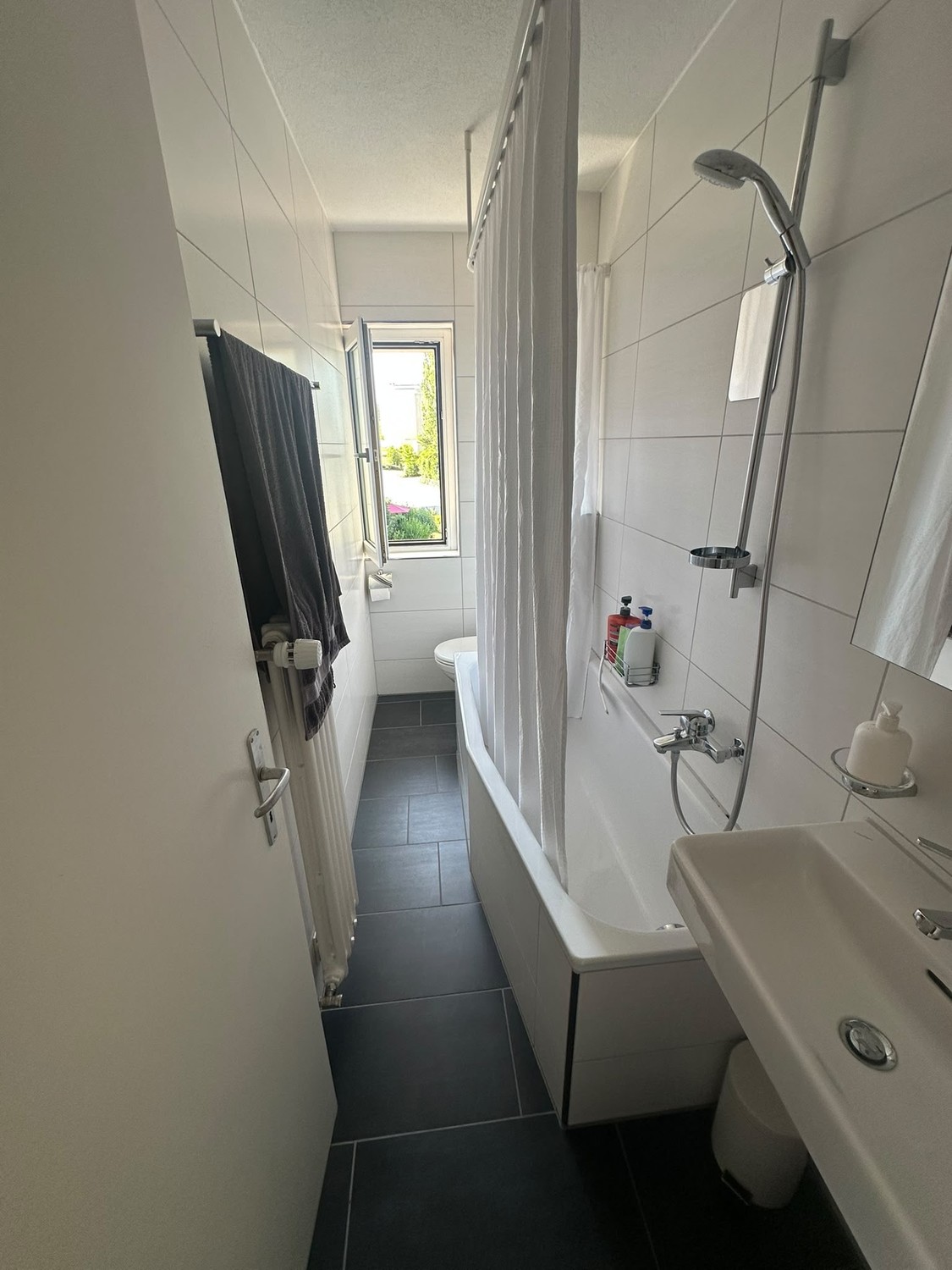 2 ½ rooms apartment
