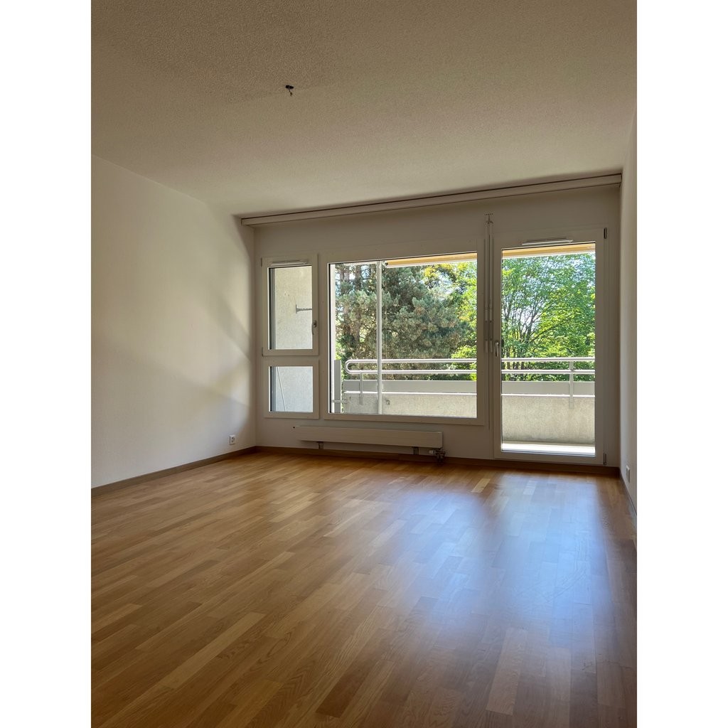 2 ½ pièces appartement