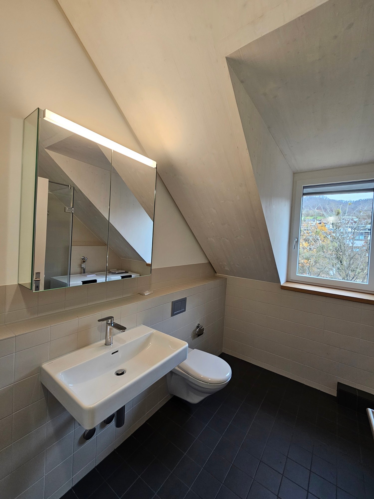 Appartement en attique de 2 ½ pièces, photo 7 sur 10