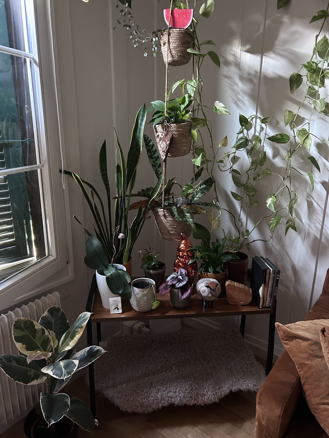 2 ½ rooms apartment, photo 5 of 5