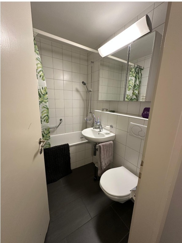 Appartement 1 pièce