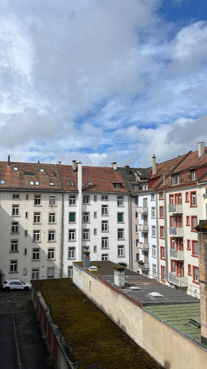 Appartement 1 pièce