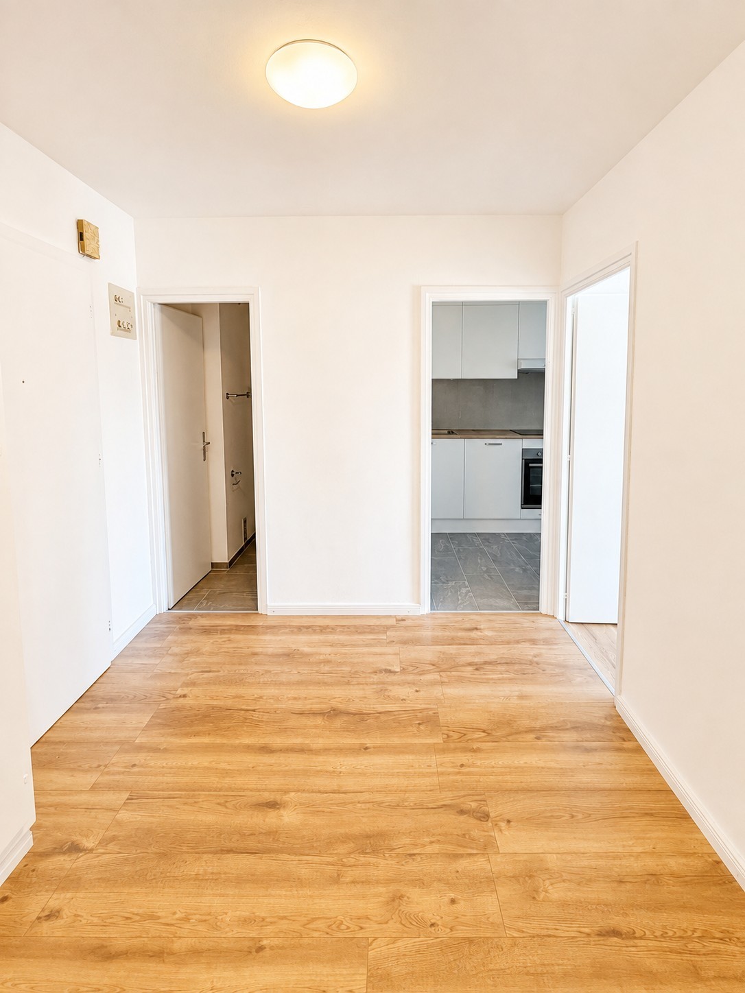 2 ½ Zimmer-Wohnung