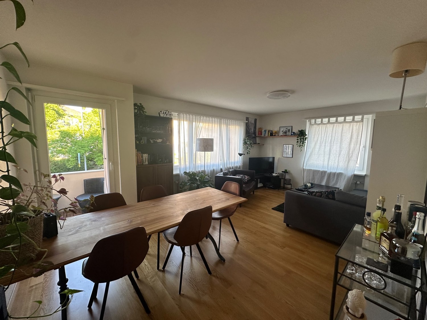 Room in a shared flat