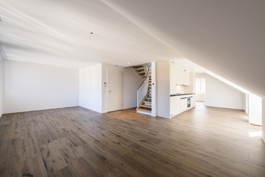 3 ½ rooms duplex