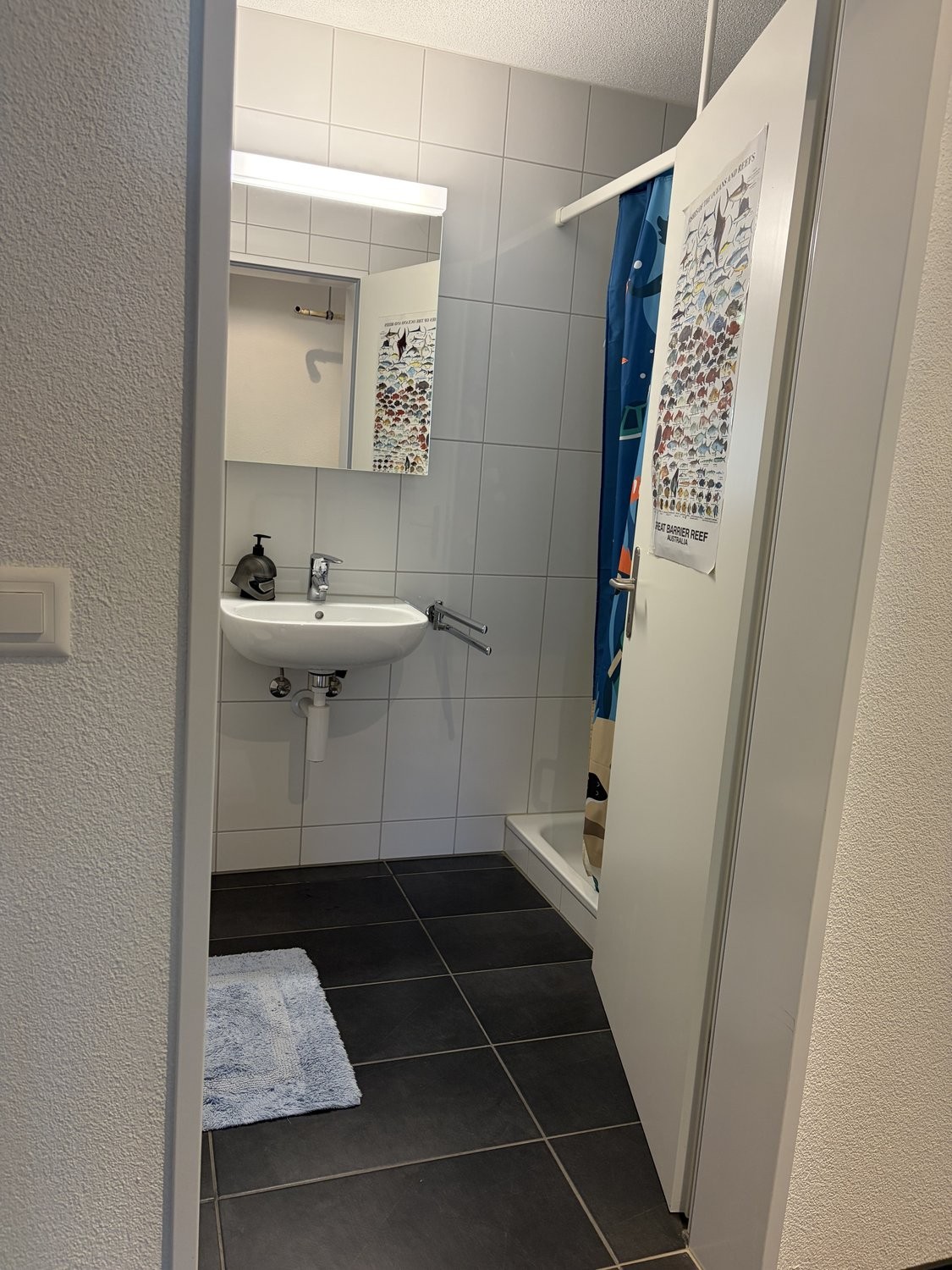 3 ½ rooms furnished flat, photo 8 of 10