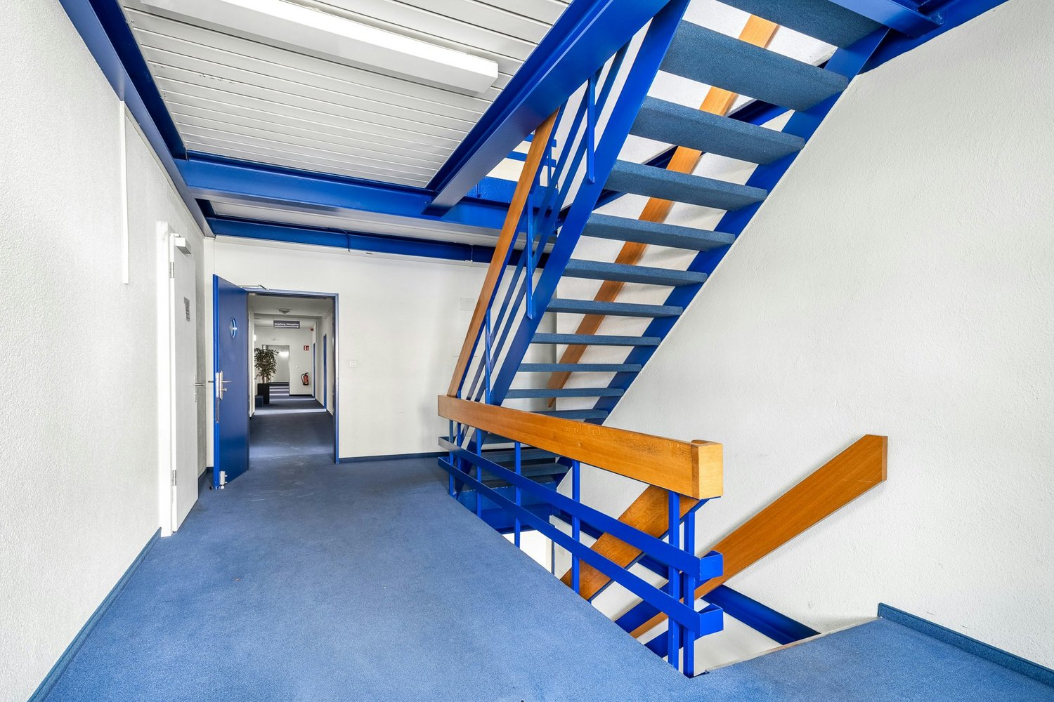 5400m² commercial, photo 5 of 9