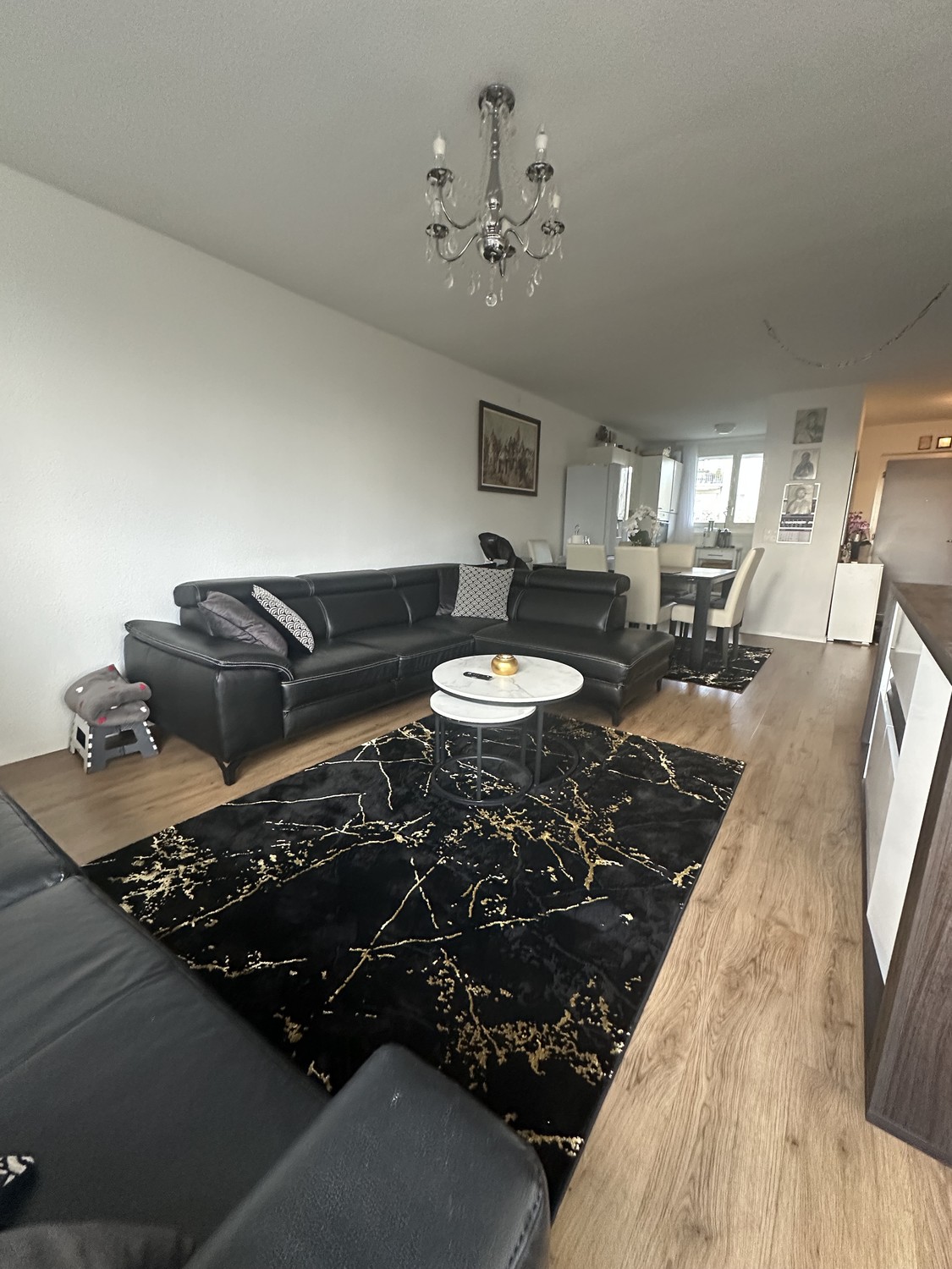 Appartement 2 ½ pièces