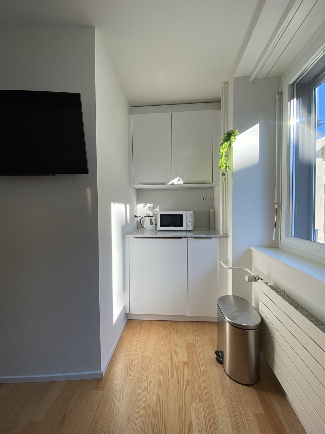 1 ½ rooms apartment, photo 6 of 10