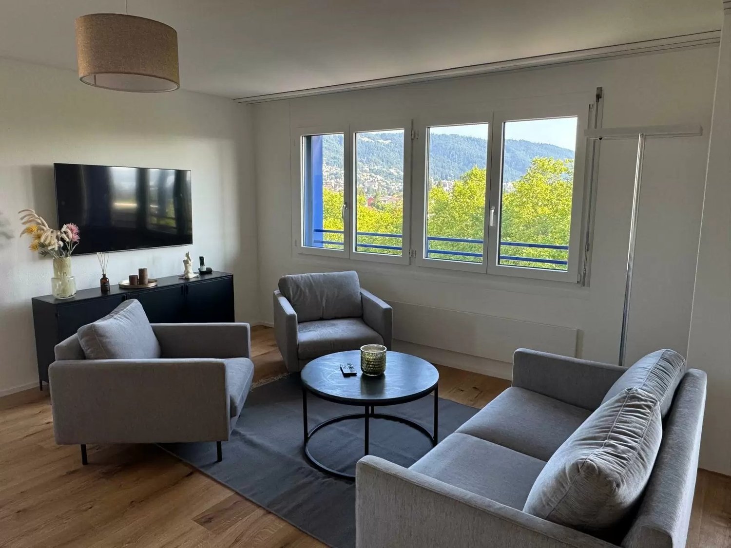 3 ½ pièces appartement meublé (8)
