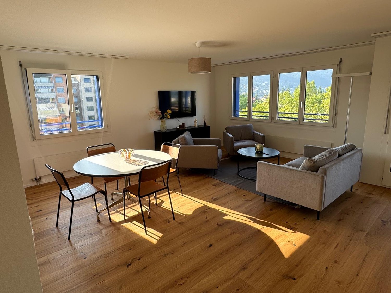3 ½ pièces appartement meublé (6)