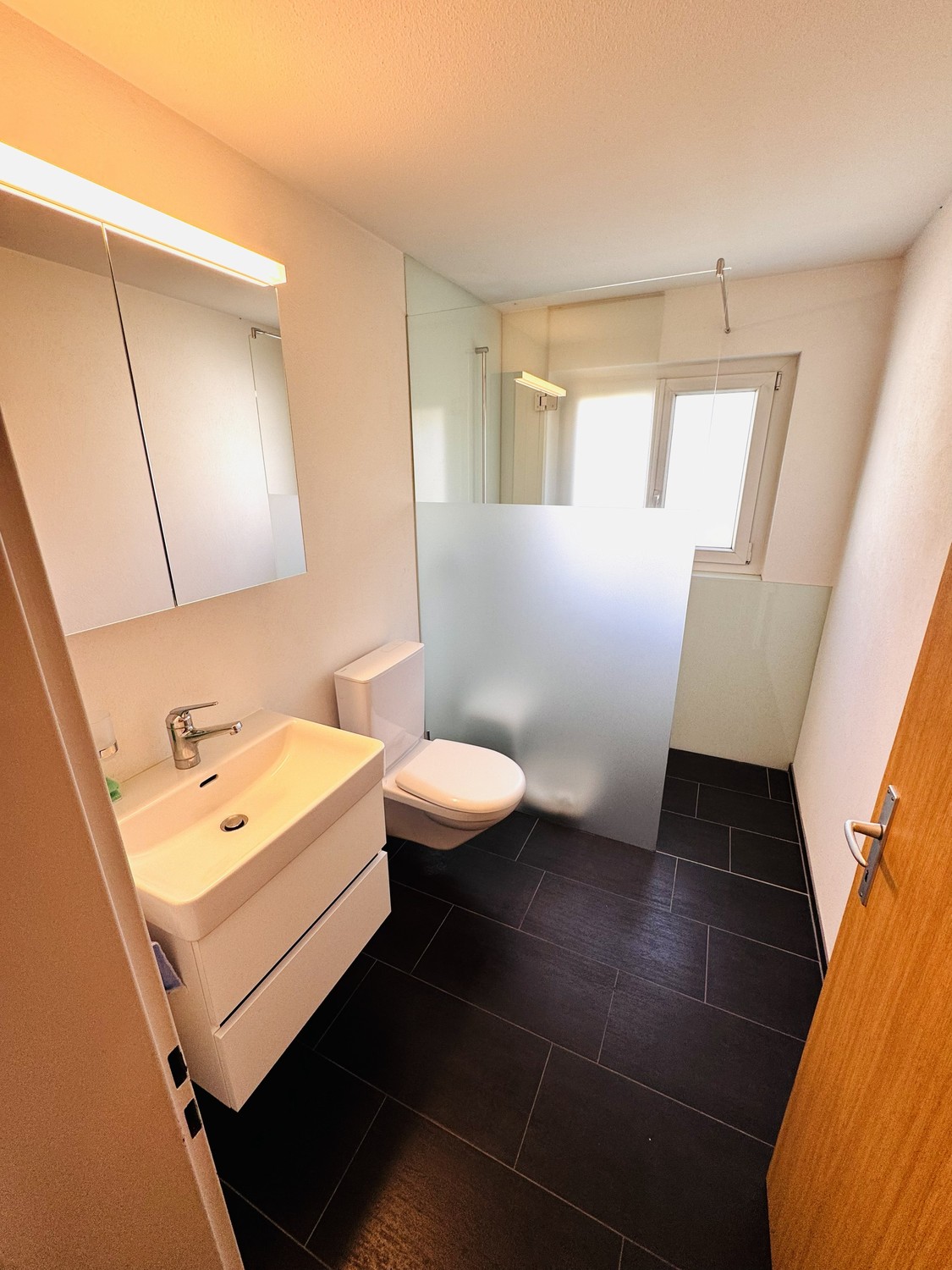 4 ½ room apartment